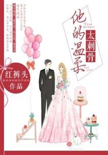 火星开发计划