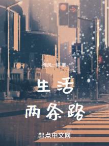 归影主宰
