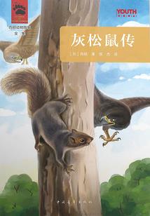玲珑鬼塔