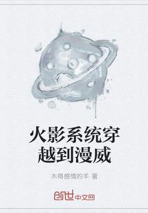 游戏计划选项