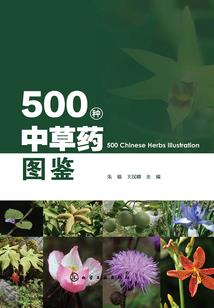我欲战天琼