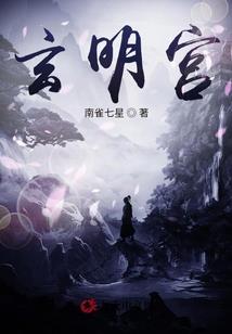 二次元掠夺系统