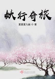 神偷王妃不好惹