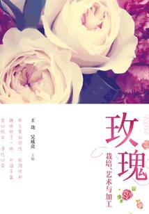 我是不是傻