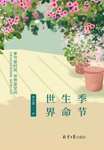你是我的梦寐时光