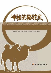 捡故事的人
