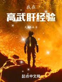 南夜慕北城