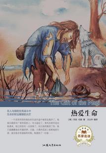 蝶舞异世