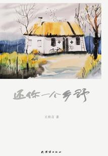 武元大陆