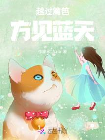 深入维度