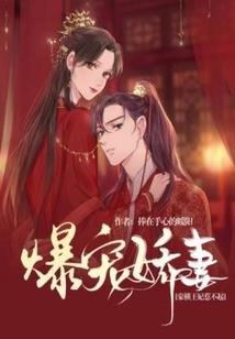 我的明星老婆叫冰冰