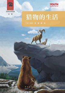 假面骑士，我的系统炸了