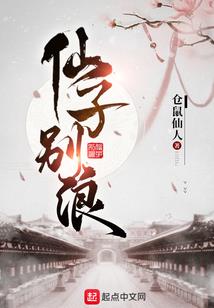 灵兵传奇