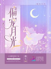梅花谍影